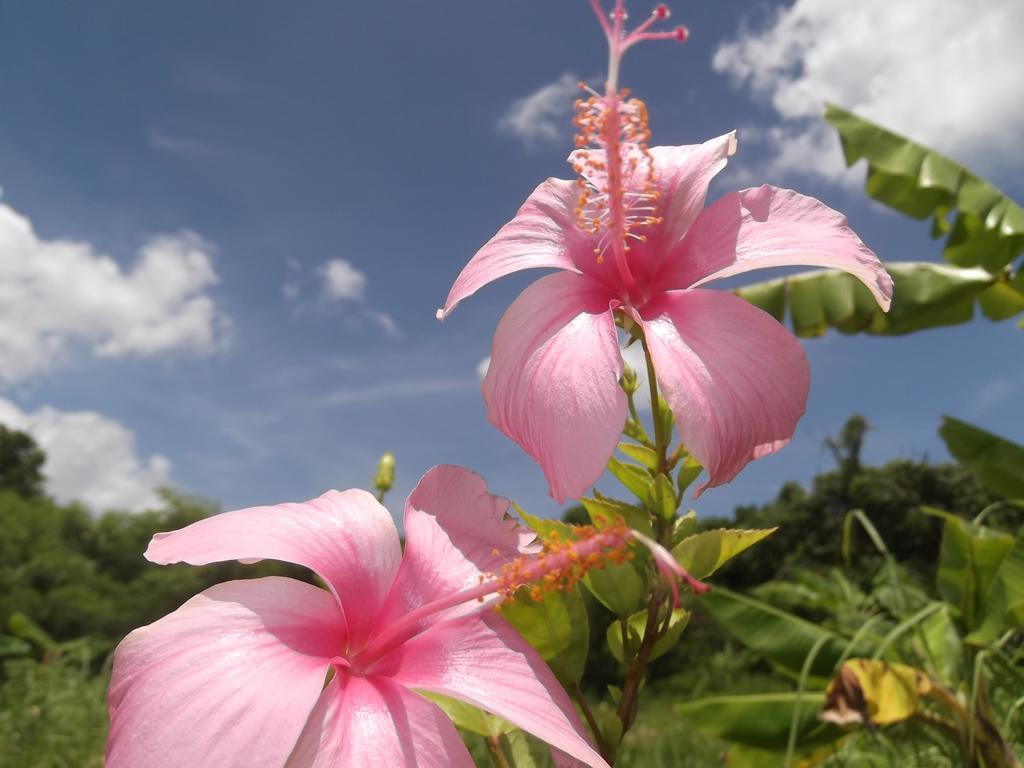 Yoisama Sunrise Beach House Ishigaki  Dış mekan fotoğraf