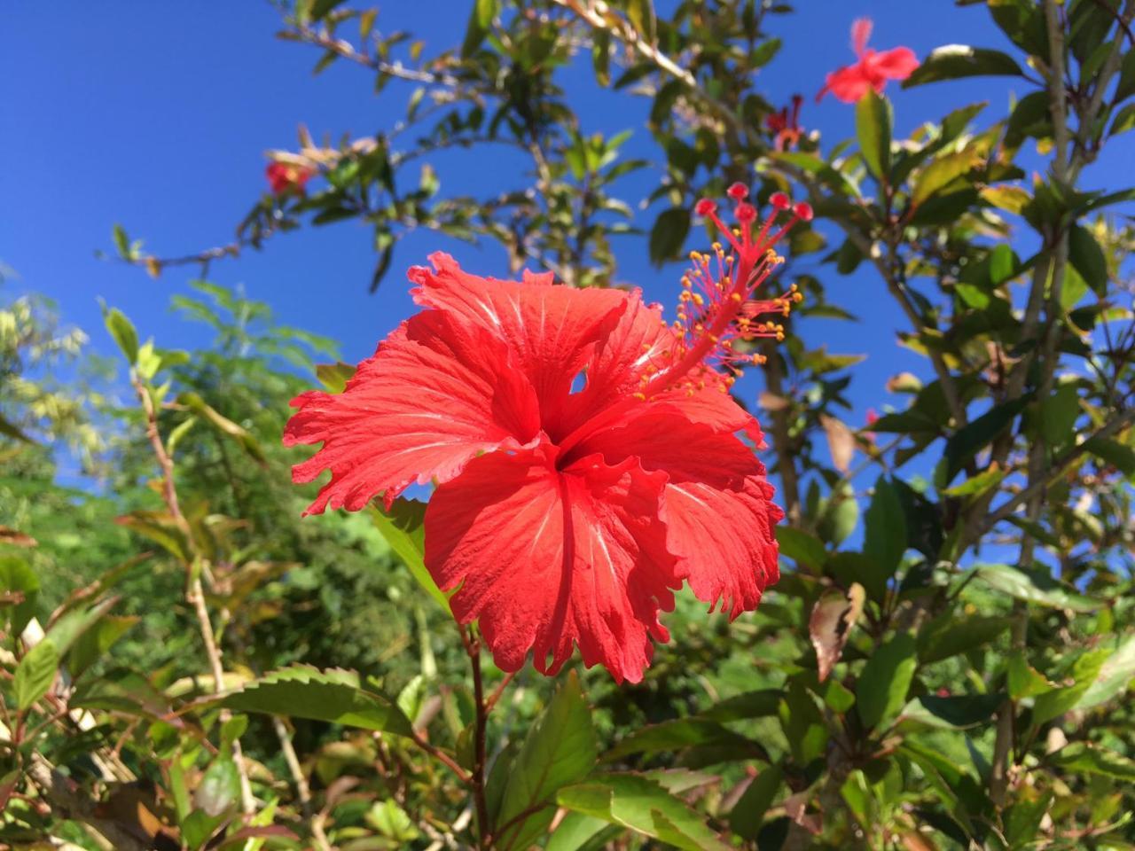 Yoisama Sunrise Beach House Ishigaki  Dış mekan fotoğraf